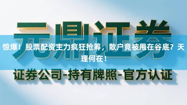 惊爆!股票配资主力疯狂抢筹,散户竟被甩在谷底?天理何在!