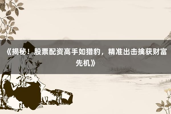 《揭秘!股票配资高手如猎豹,精准出击擒获财富先机》