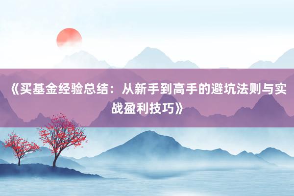 《买基金经验总结：从新手到高手的避坑法则与实战盈利技巧》