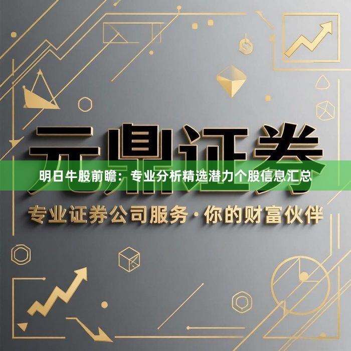 明日牛股前瞻：专业分析精选潜力个股信息汇总