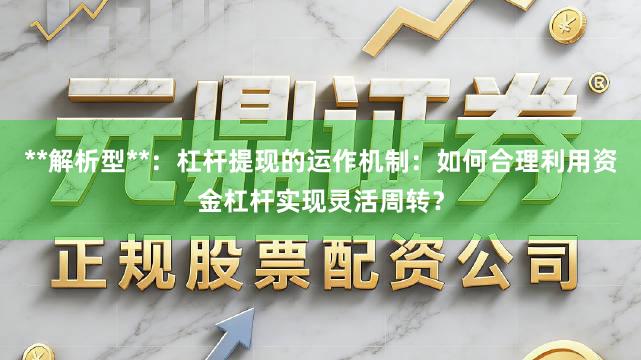 **解析型**：杠杆提现的运作机制：如何合理利用资金杠杆实现灵活周转？