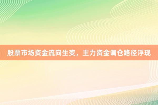 股票市场资金流向生变，主力资金调仓路径浮现