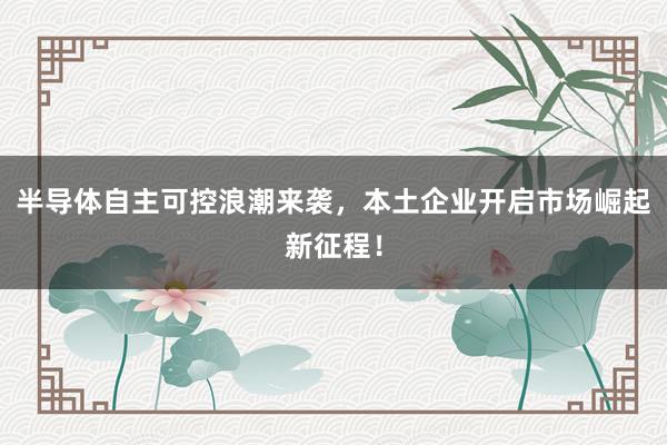 半导体自主可控浪潮来袭，本土企业开启市场崛起新征程！