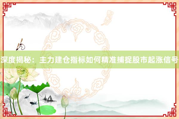 深度揭秘：主力建仓指标如何精准捕捉股市起涨信号
