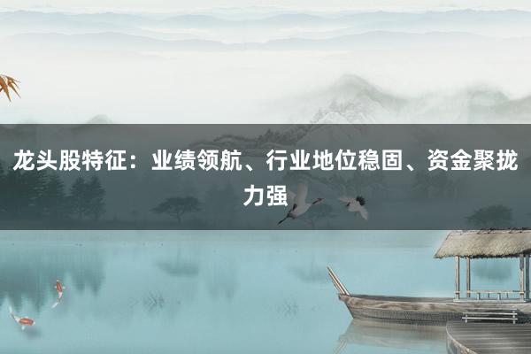 龙头股特征：业绩领航、行业地位稳固、资金聚拢力强