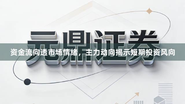 资金流向透市场情绪，主力动向揭示短期投资风向