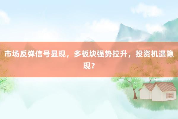 市场反弹信号显现，多板块强势拉升，投资机遇隐现？