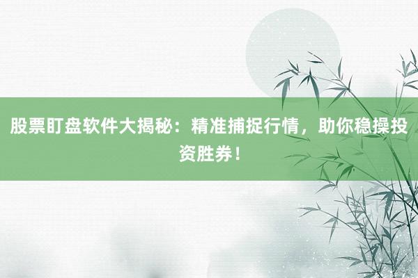 股票盯盘软件大揭秘：精准捕捉行情，助你稳操投资胜券！