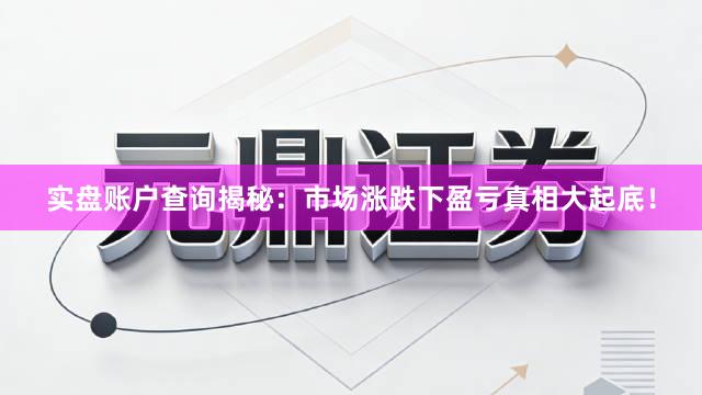 实盘账户查询揭秘:市场涨跌下盈亏真相大起底!