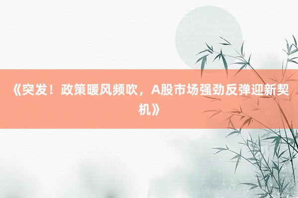 《突发！政策暖风频吹，A股市场强劲反弹迎新契机》