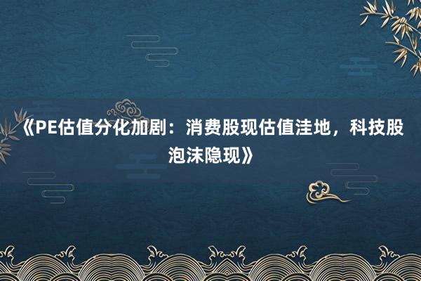《PE估值分化加剧：消费股现估值洼地，科技股泡沫隐现》